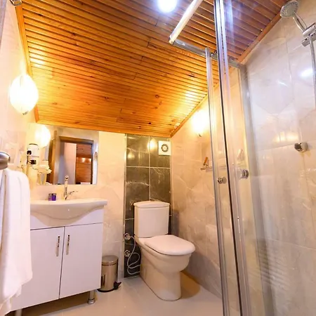 Aparthotel Entes
